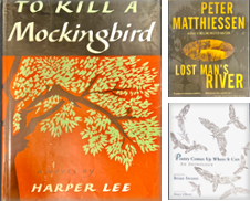American Literature de NorWester