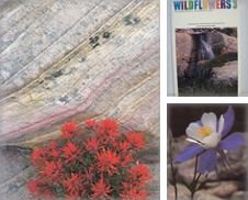 Botany (Wildflowers) Curated by Z & Z Books