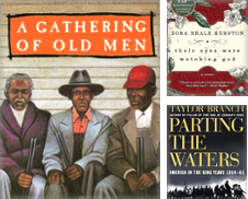 African American Propos par Rock River Books