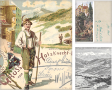 ANSICHTSKARTEN August 2025 Sammlung erstellt von Antiquariat MEINDL & SULZMANN OG