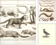 Animals de Robert Frew Ltd. ABA ILAB