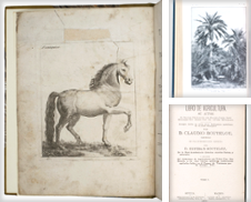 Agriculture Curated by Antiquariaat FORUM BV
