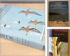 Birds de Joan Andrews