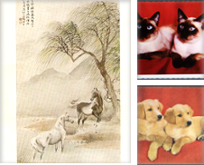 Animals Postcards Sammlung erstellt von Postcard Anoraks