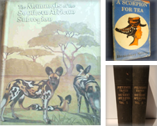 Africa Curated by Archive