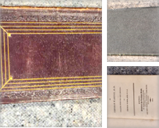 Nineteenth Century de Flora Books