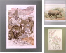 Illustrations Curated by HM Books