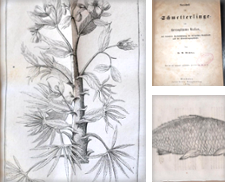 Botanik und Zoologie Sammlung erstellt von Antiquariat Uwe Turszynski