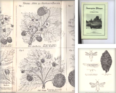 Botanik Sammlung erstellt von Fachbuchhandlung H. Sauermann