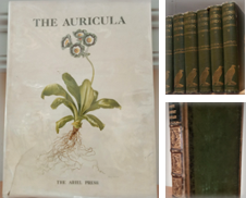 Antiquarian & Collectible de Summerfield Books BA