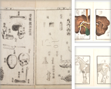 Anatomy de Jonathan A. Hill, Bookseller Inc.