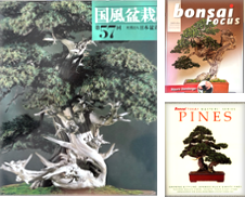 Bonsai Curated by Lornas Closet