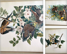 Audubon Print Propos par AcornBooksNH