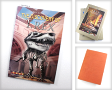 Archaeology Curated by West Cove UK