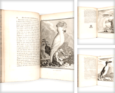 Botanik, Zoologie de Georg Schneebeli :: Rare Books & Prints