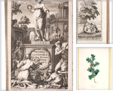 All Botany Curated by Antiquariaat FORUM BV