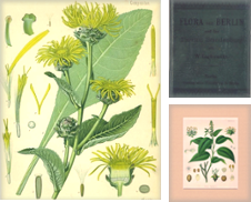Botanik Sammlung erstellt von Antiquariat Gnter Hochgrebe
