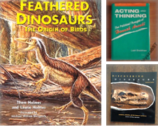 Fossils and Paleontology Curated by Martin's Nature Books