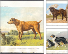 Animal Curated by Trillium Antique Prints & Rare Books