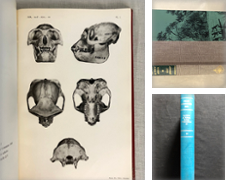 Africa Curated by Dark and Stormy Night Books