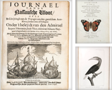 Pacific Islands Curated by Antiquariaat FORUM BV