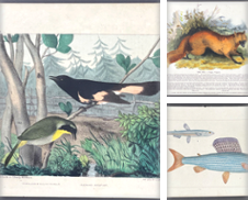 Animals Curated by Trillium Antique Prints & Rare Books