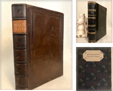 Anthologies Curated by Dark and Stormy Night Books