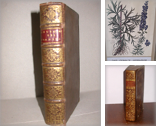 Botanik de Johann Peter Hebel Antiquariat
