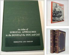 Animals Sammlung erstellt von Munster & Company