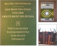 Bibelkommentare zum Neuen Testament Sammlung erstellt von Theologica, Stefanie Kastler