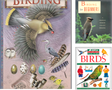 All Birds de fourleafclover books