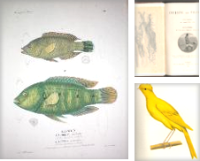 Biologie Sammlung erstellt von Antiquariat Lorych