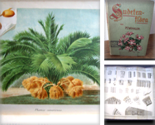 Botanic Sammlung erstellt von Zentralantiquariat Leipzig GmbH