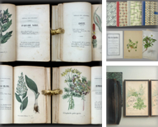 Botanik Sammlung erstellt von Biblion Antiquariat